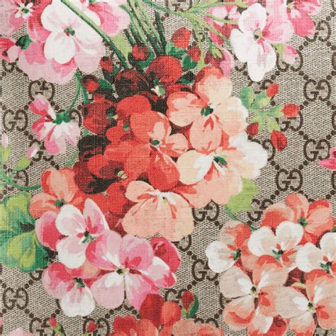 floral print gucci|gucci floral background.